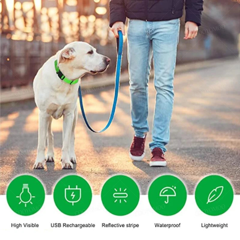 3 Modes Dog Luminous Charge Collar Led Usb Cat Dogs