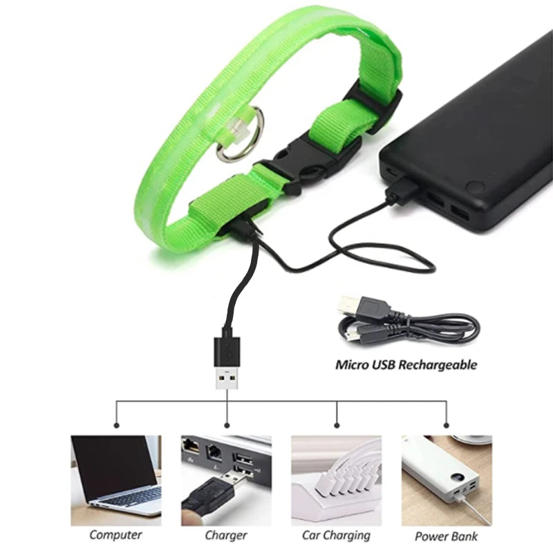 3 Modes Dog Luminous Charge Collar Led Usb Cat Dogs
