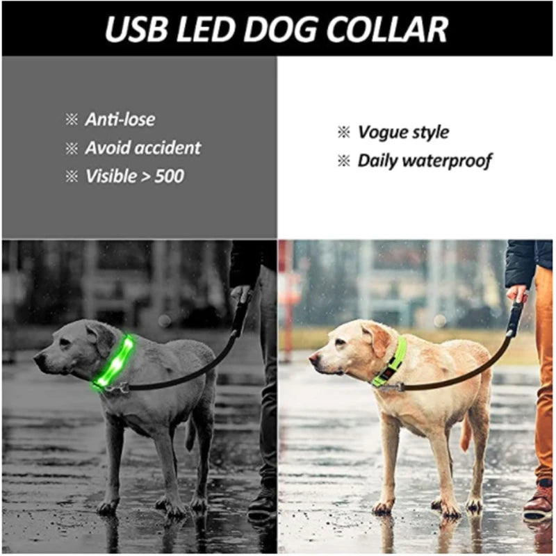 3 Modes Dog Luminous Charge Collar Led Usb Cat Dogs