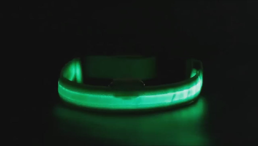3 Modes Dog Luminous Charge Collar Led Usb Cat Dogs